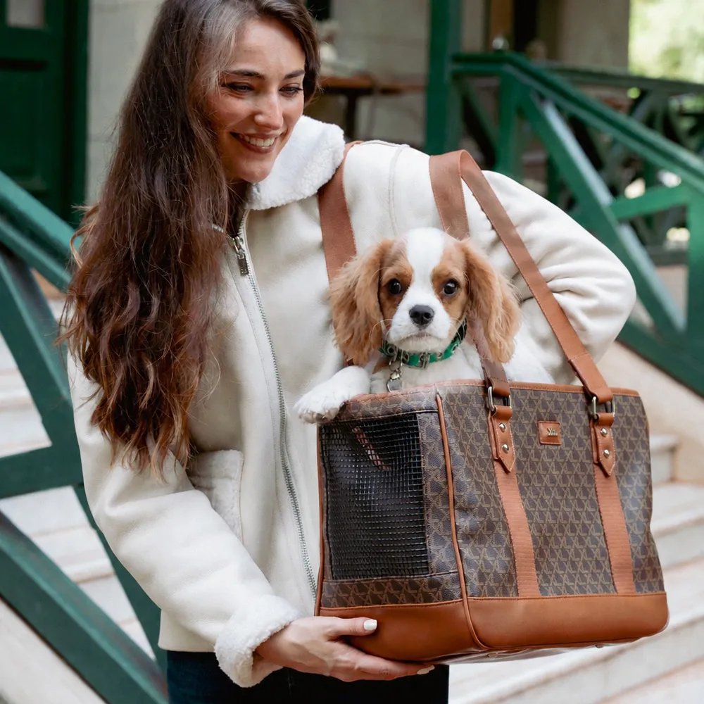 ILY BOLSO PET CHOCOLATE - Imagen 3