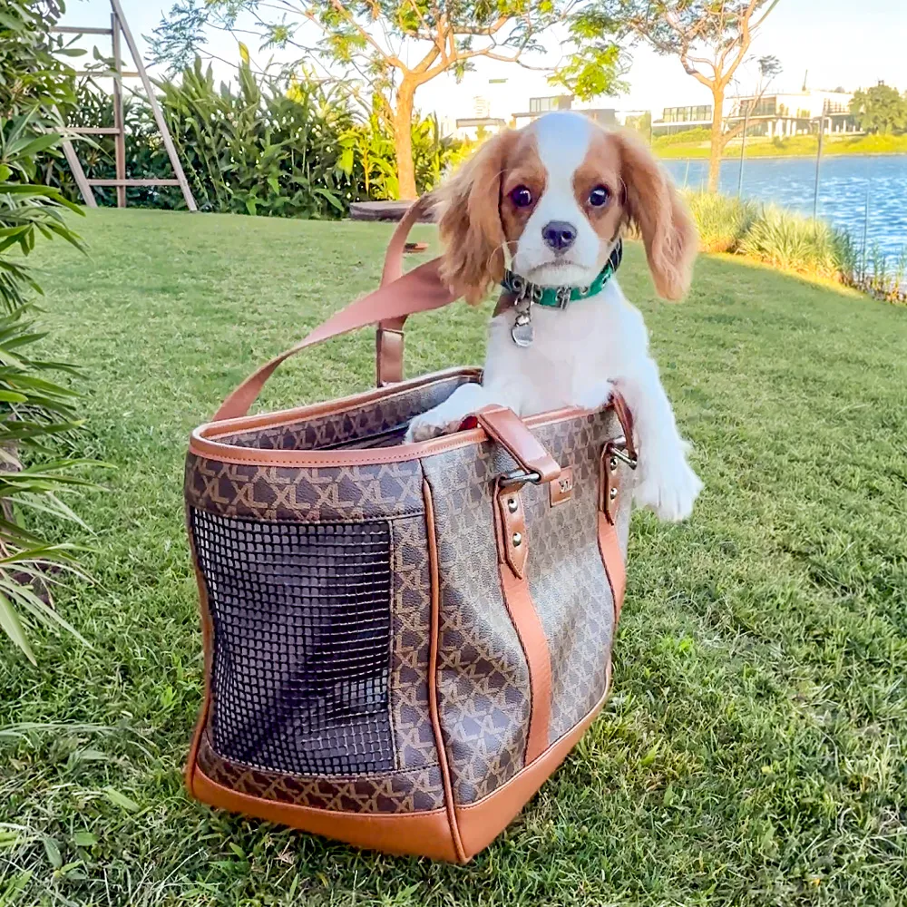ILY BOLSO PET CHOCOLATE - Imagen 4